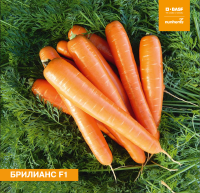 Морковь Бриллианс F1 (500 шт.)