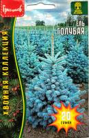 Ель Голубая. Григорьев