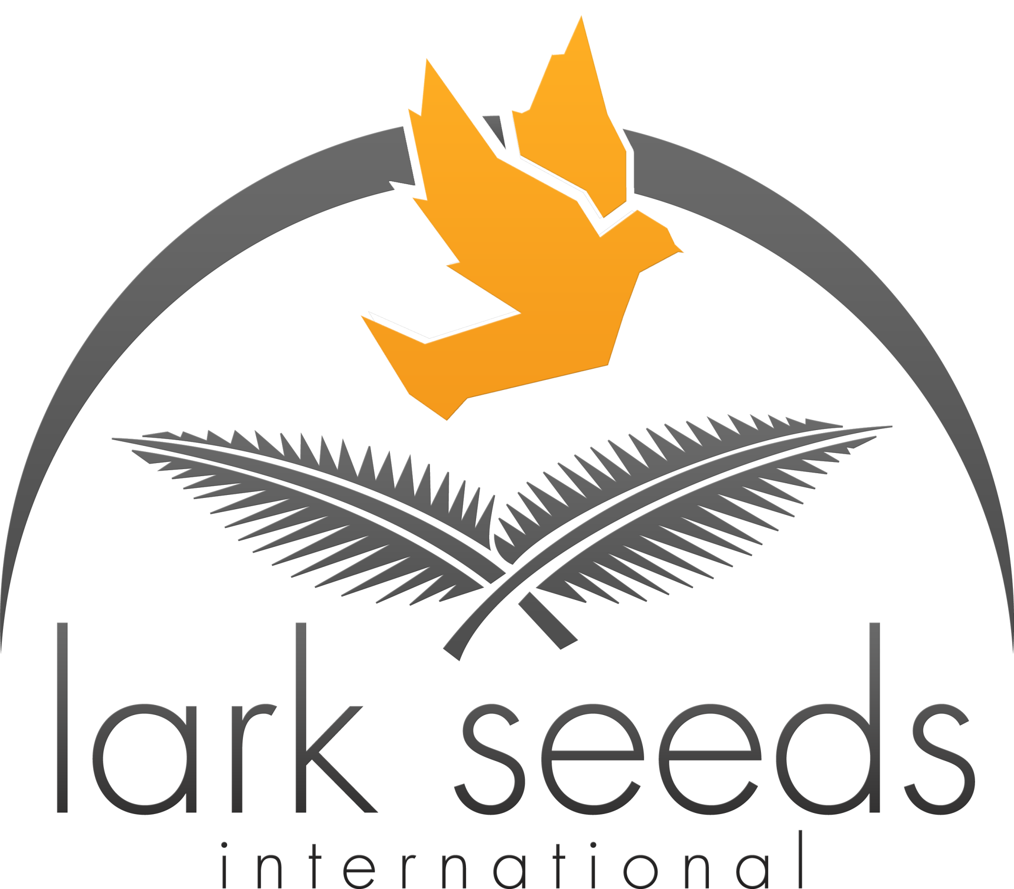 Lark Seeds Lark Seeds