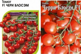 Томат черри Блоссэм F1 (10 шт.)