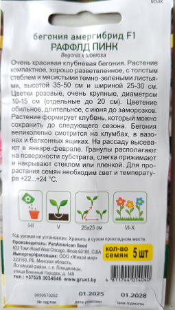 Бегония Амергибрид F1 Раффлд Пинк