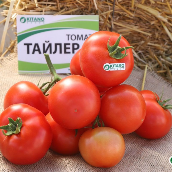 Томат Тайлер F1 (10 шт.)
