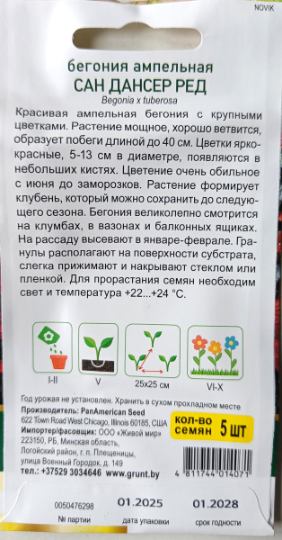Бегония ампельная Сан Дансер Ред