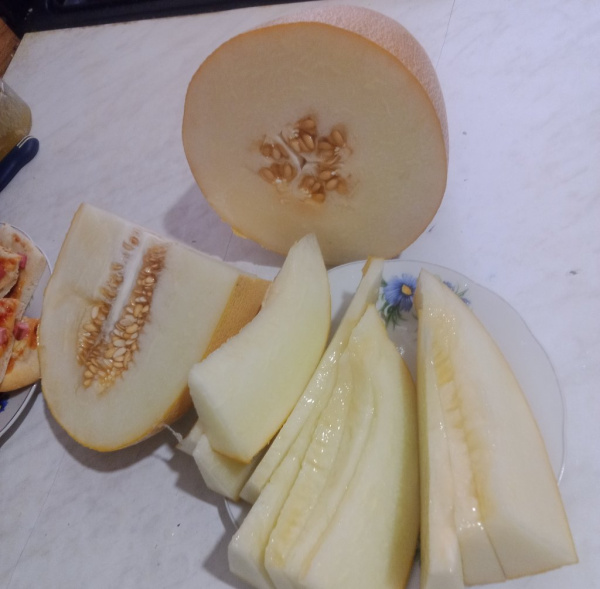 Дыня Самит F1 (5 шт.)