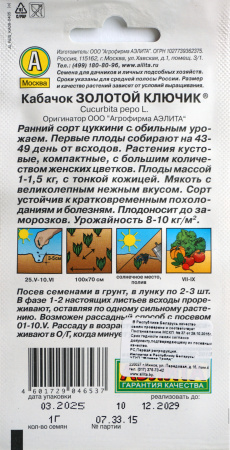 Кабачок  Золотой ключик Аэлита