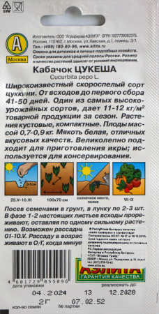 Кабачок Солнечный мячик Аэлита