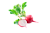 Редис