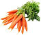 Морковь