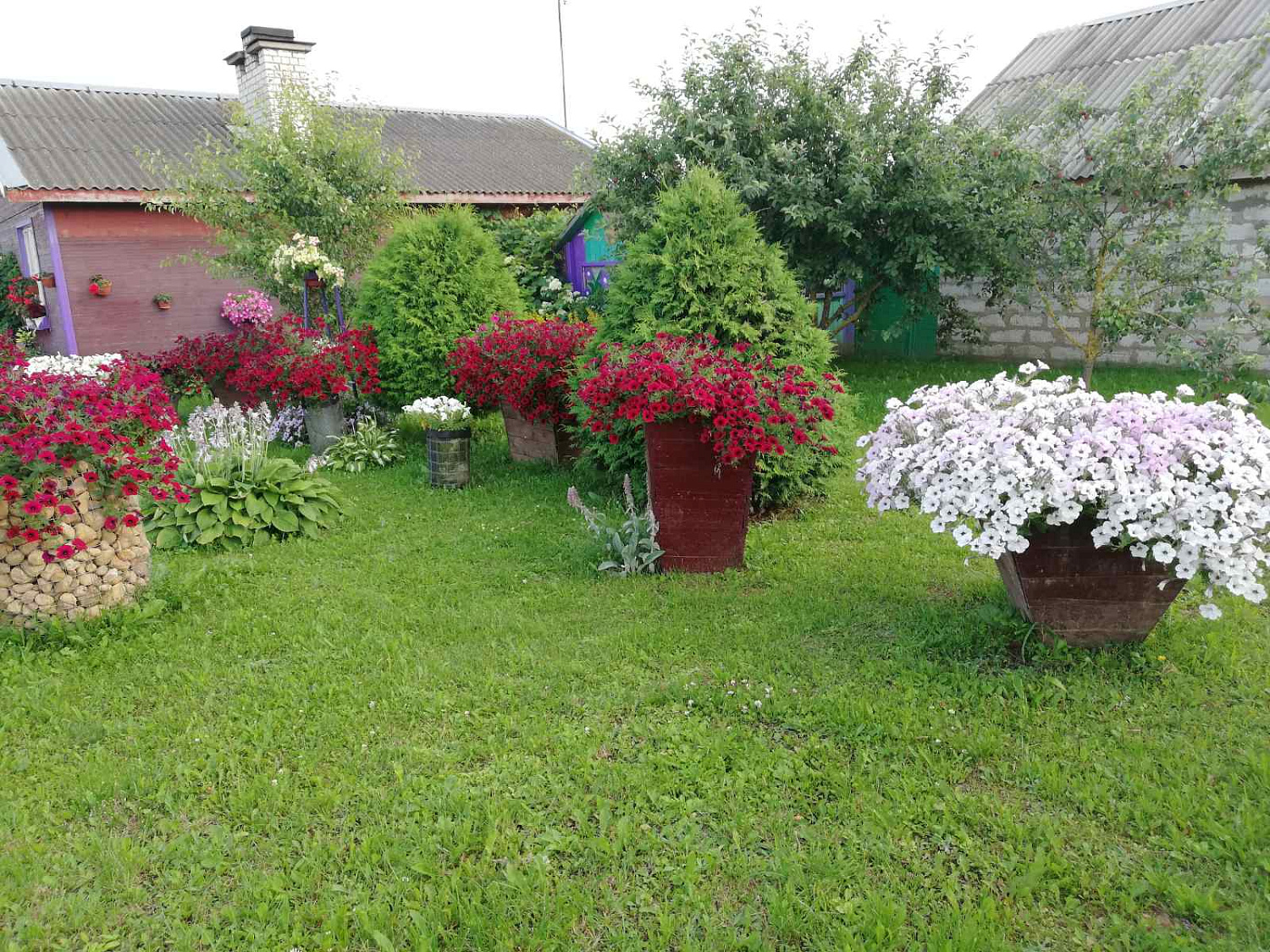 Урожай наших покупателей