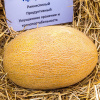 Дыня Кредо (6 шт.)