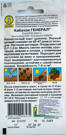 Кабачок Генерал Аэлита