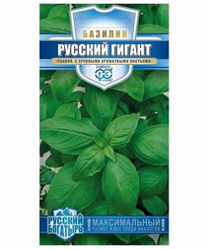 Базилик Русский гигант (зелёный)