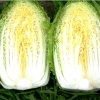 Капуста пекинская Юки F1 (20 шт.)