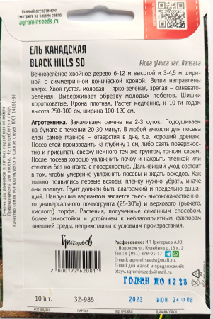 Ель канадская BLACK HILLS SD