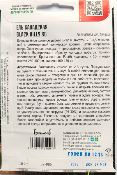 Ель канадская BLACK HILLS SD