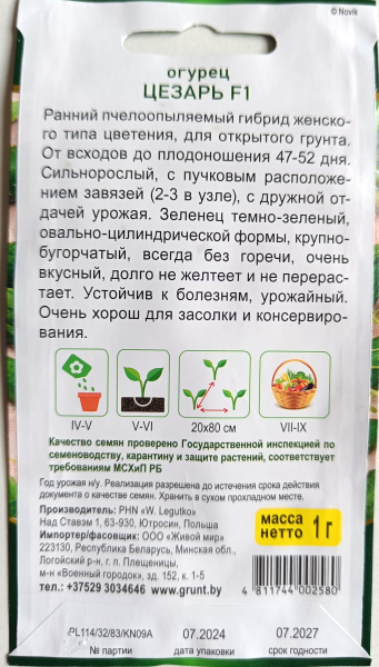 Oгypeц Цeзapь F1 (W. Legutko) 1 г