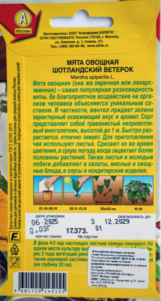 Мята овощная Шотландский ветерок Аэлита
