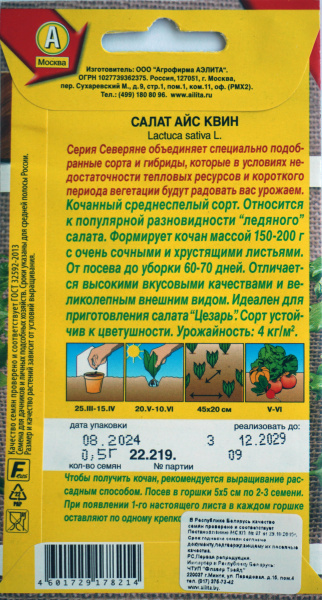 Салат Айс квин Аэлита