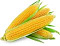 Кукуруза сладкая