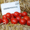 Томат Солероссо F1 (25 шт.)