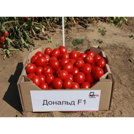 Томат Дональд F1 (10 шт.)