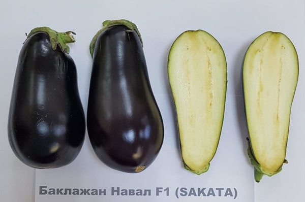 Баклажан Навал F1 (10 шт.)