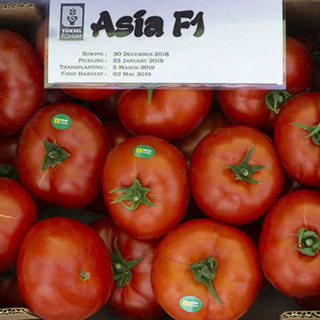 Томат Азия F1 (10 шт.)