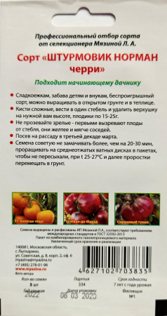 Томат Штурман черри. Мязина