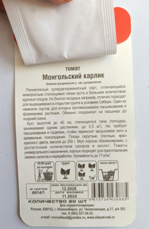 Томат Монгольский Карлик